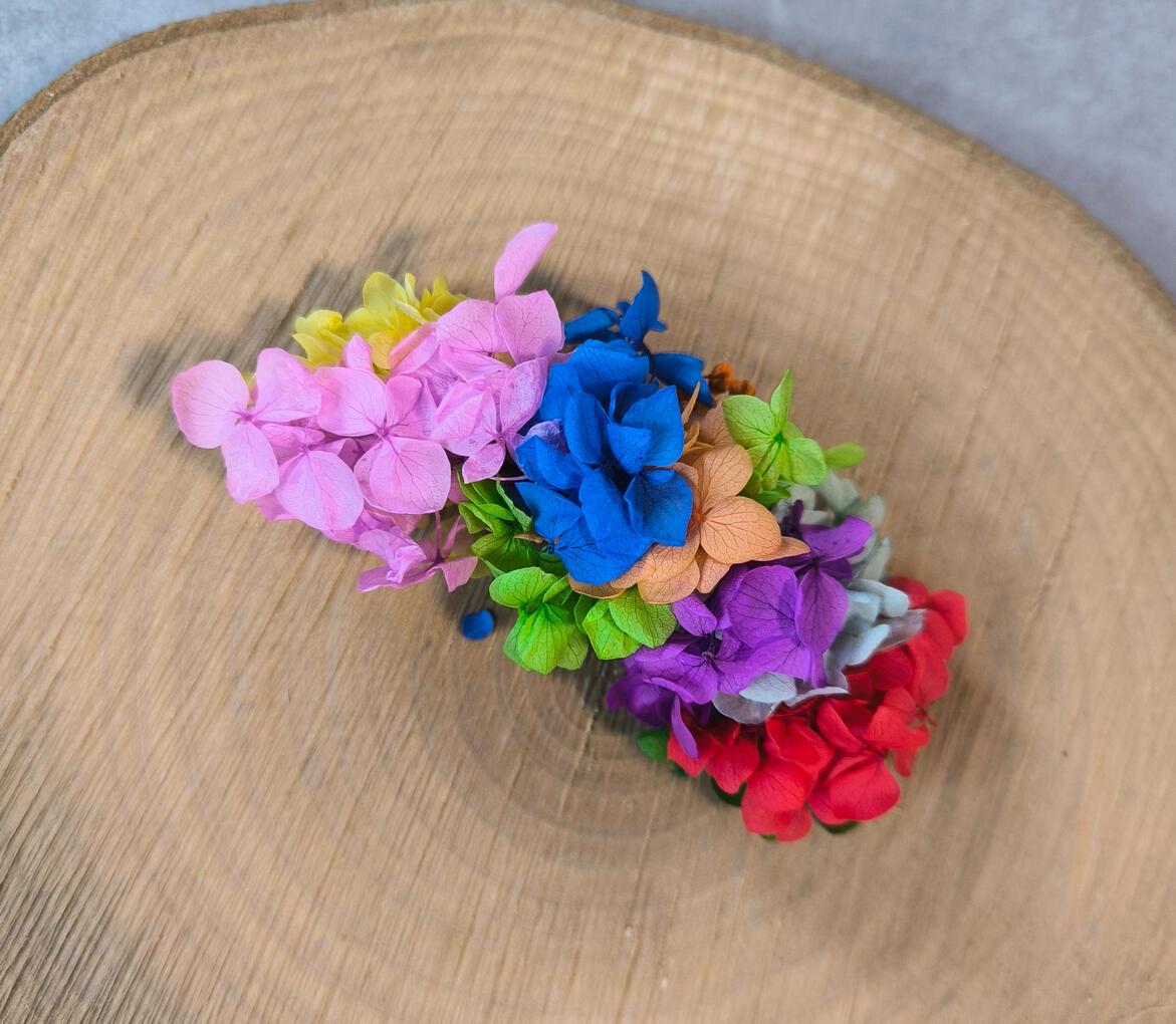 Barrette "Laure Anne"